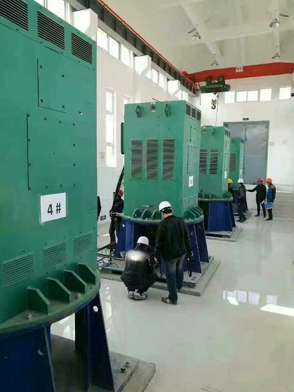 武汉某污水处理厂使用我厂的立式高压电机安装现场