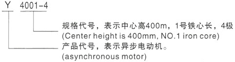 西安泰富西玛Y系列(H355-1000)高压武汉三相异步电机型号说明